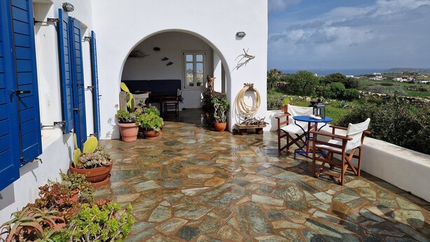 Une terrasse extérieure avec un sol en pierre, des volets bleus et des plantes en pot.