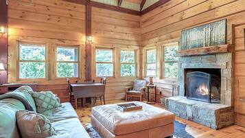 Smart TV, fireplace, books