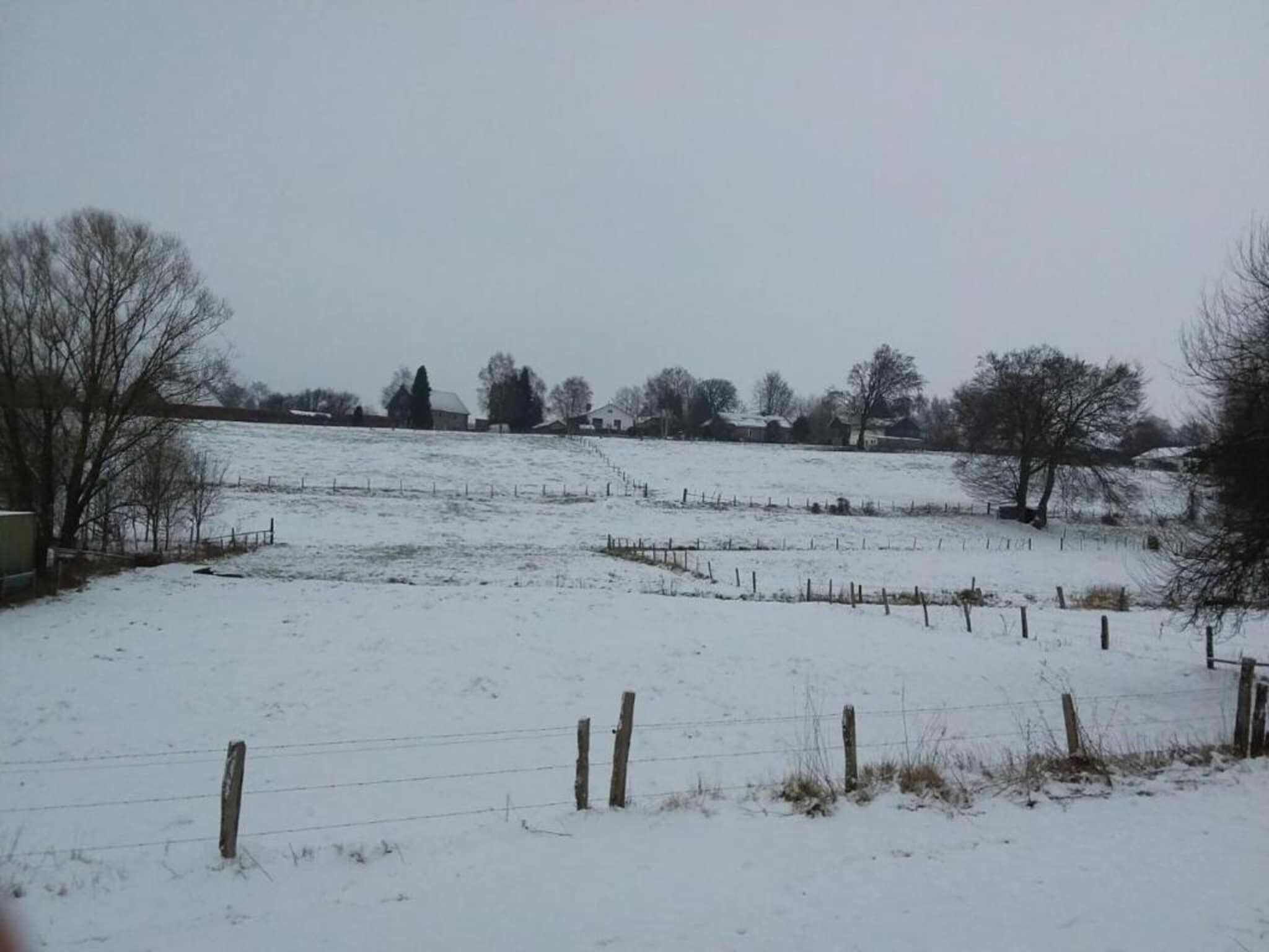 A snow-covered field with a fence and trees in the background.