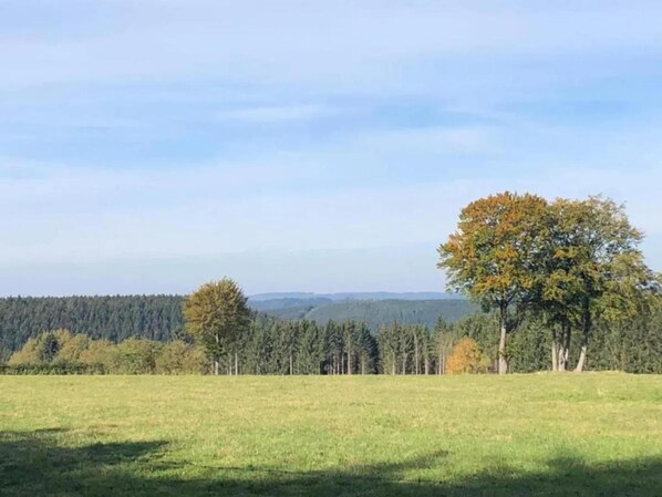 Uklassifisert bilde, 1 av 39, knapp