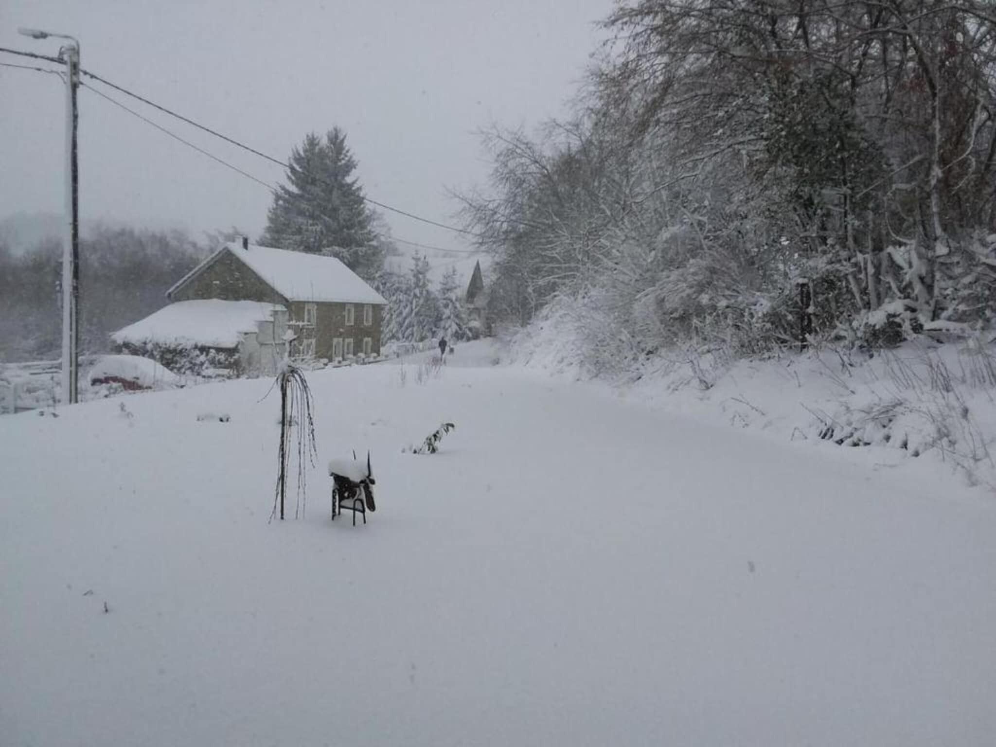 A snow-covered rural landscape with a house and trees.