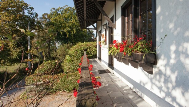A covered outdoor area with a pathway leading to a building with windows and flower boxes.