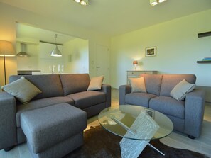 TV, DVD player, mesa de pingue-pongue