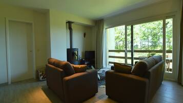 Télévision, lecteur de DVD, table de tennis de table