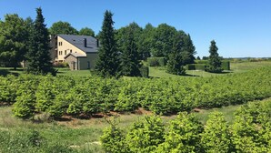 A house with a sloped roof, surrounded by a vineyard and tall trees. - Family Apartment; Bouillon and Semois River (Gros-Fays)