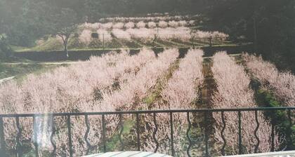 Villa, charme s/"Concors Ste Victoire"alt.400m, piscine ronde ludique diam 10