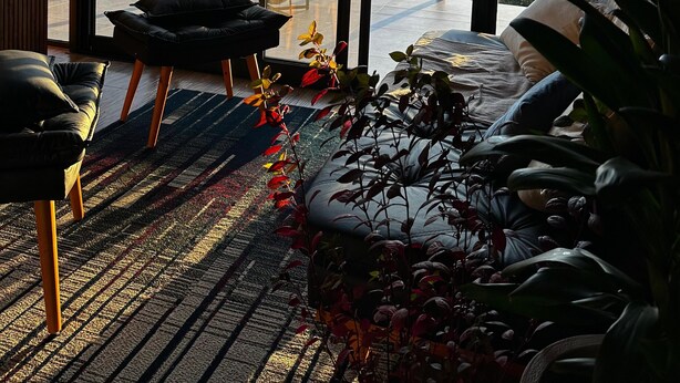 A modern room with large windows, a black leather sofa, a small table, and a potted plant. - Guiados Pelo Alto (Sao Pedro de Alcantara)