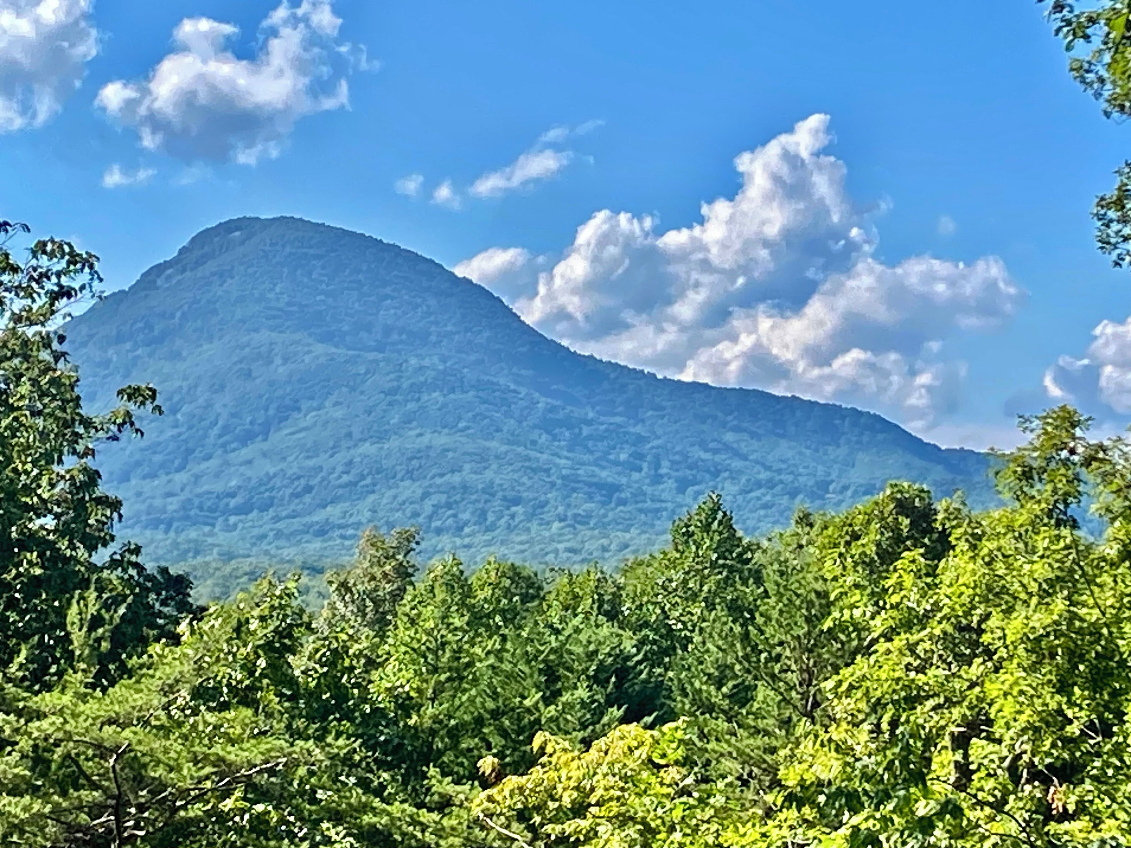 Mt Yonah is stunning in all seasons! Here is summer.