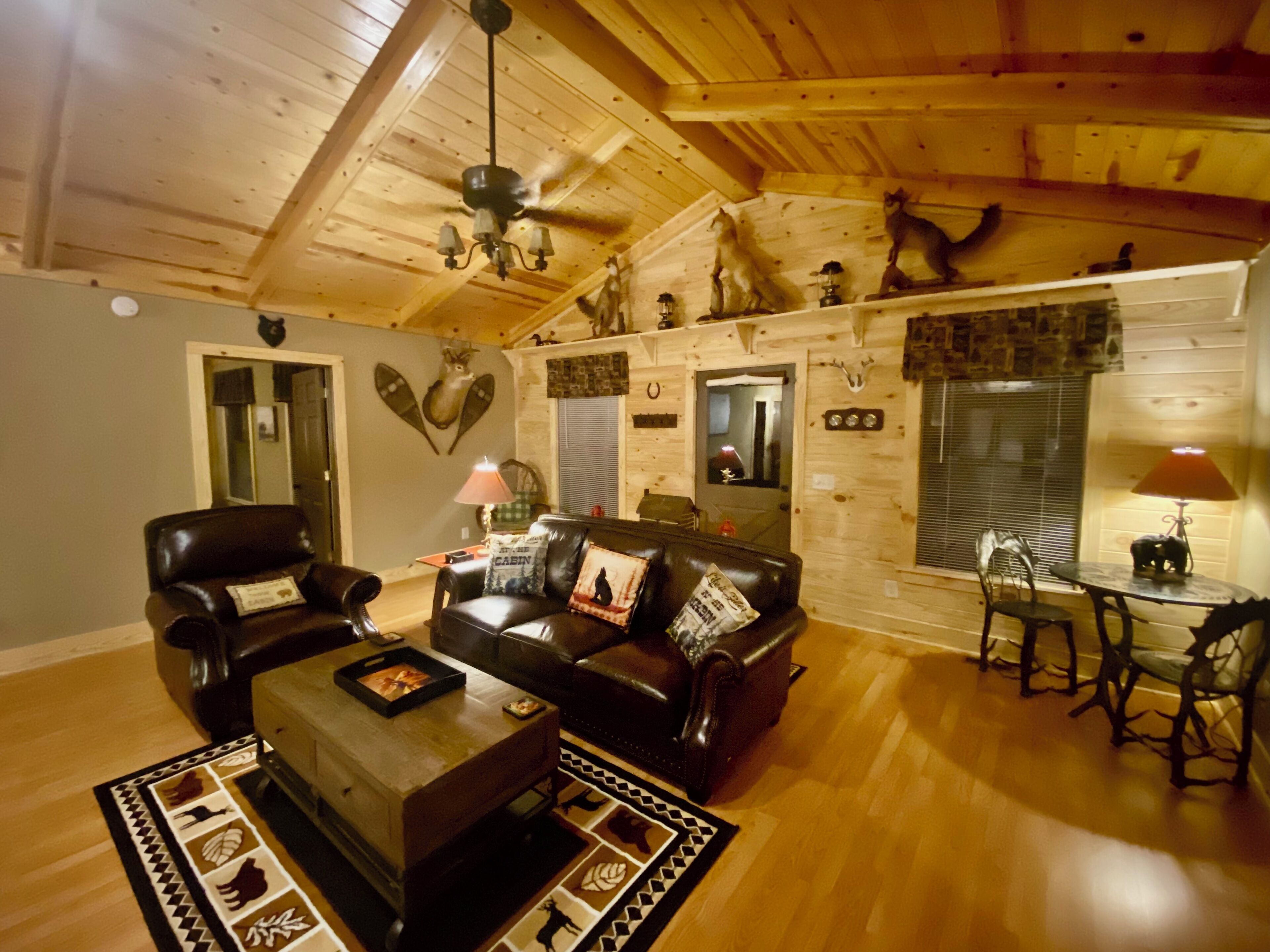 Televisor intel·ligent, llar de foc, llibres i estèreo 