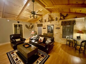 Smart TV, fireplace, books, stereo