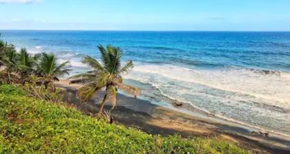 Elegant Ocean-Front Apartment, PRIVATE Jacuzzi,BBQ