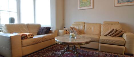 تلفزيون، مدفأة، مشغل دي في دي