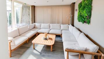 Télévision, cheminée, lecteur de DVD