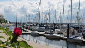 Un port de plaisance où sont amarrés de nombreux bateaux, un ciel dégagé et une fleur rouge au premier plan.