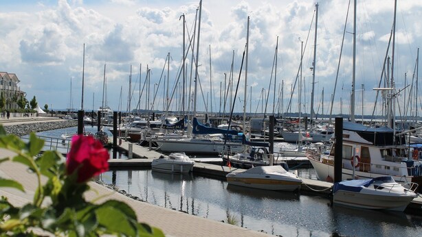 Ein Yachthafen mit mehreren vor Anker liegenden Booten, bewölkter Himmel und eine rote Blume im Vordergrund.