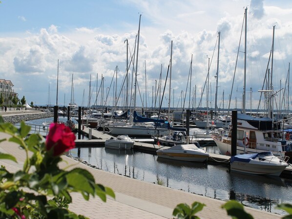 A marina with multiple boats docked, a clear sky, and a red flower in the foreground. - Helle Wohnung im Ostseebad (Boltenhagen)