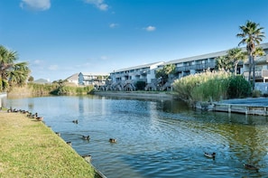 Condo, Multiple Beds (Villas on the Gulf unit H5) | Property grounds - Villas on the Gulf Unit H5 (Pensacola Beach)