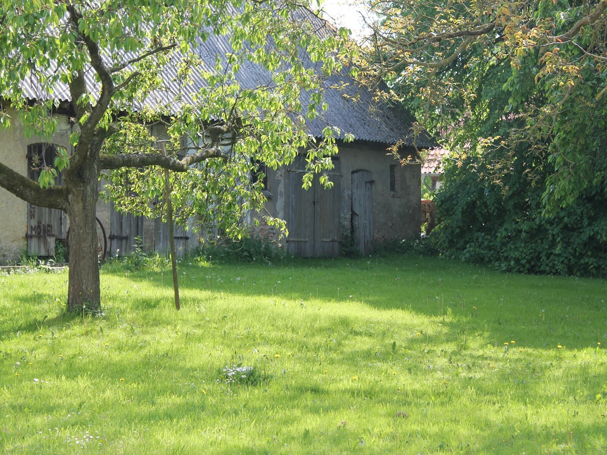 Ein grasbewachsenes Gelände mit einem Baum und einem rustikalen Gebäude mit Wellblechdach.