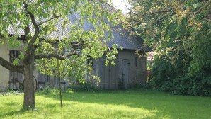 Une zone herbeuse avec un arbre et un bâtiment rustique doté d’un toit en tôle ondulée.