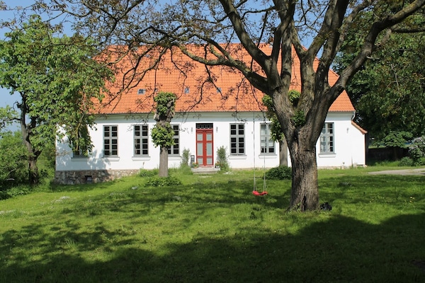 Eksteriør