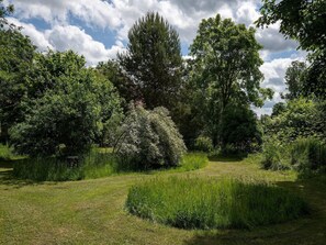 A natural landscape with a variety of trees and shrubs, a grassy field, and a clear sky.