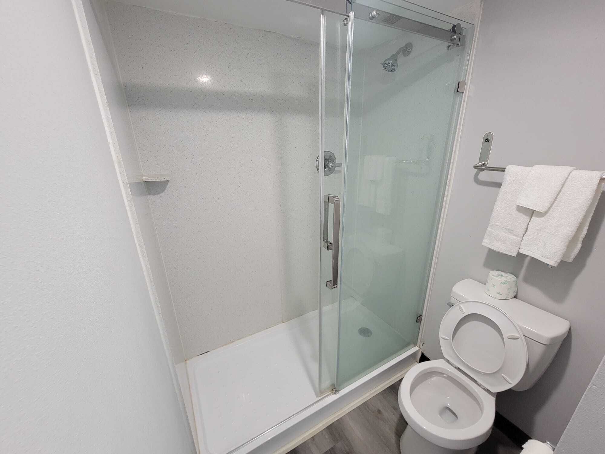 A modern bathroom with a glass-enclosed shower, a toilet, and a towel rack.