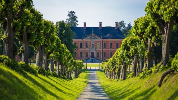 A pathway leading to a large building with a symmetrical facade, flanked by rows of trees. - Ferienhaus in Damshagen mit Sauna (Klütz)