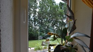 A window with a view of a garden, a potted plant, and a small table with a glass. - Ferienhaus in Damshagen mit Sauna (Klütz)
