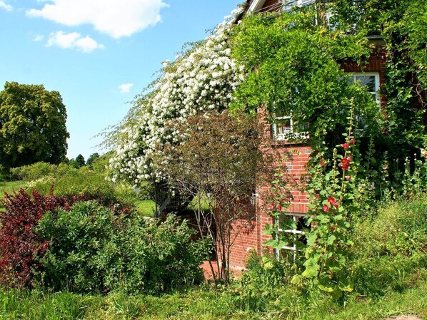 A brick house with a garden full of various plants and flowers. - Wohnung in Semlow mit Garten und Terrasse (Semlow)