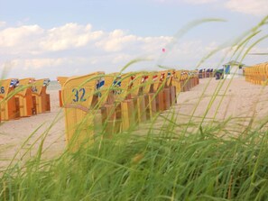 Rows of beach chairs with numbers on them, arranged on a sandy beach.