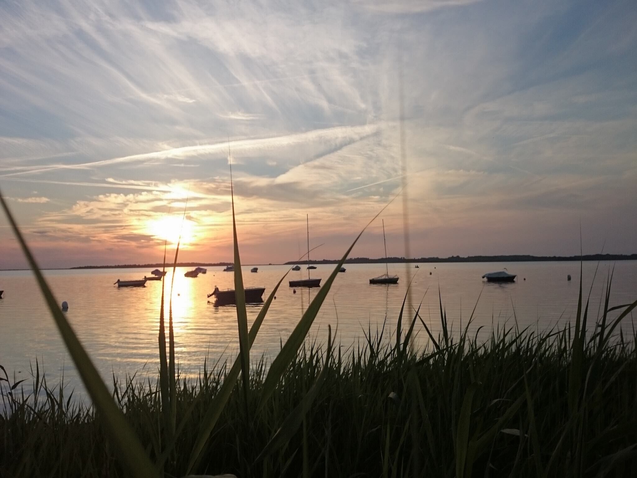 A sunset over a calm body of water with boats and grass in the foreground.