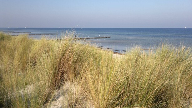 A beach with tall grass in the foreground and a clear view of the sea. - Ferienhaus mit Kamin in Mechelsdorf (Mechelsdorf)