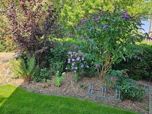 Un jardin avec différentes espèces de plantes et une structure en treillis métallique.