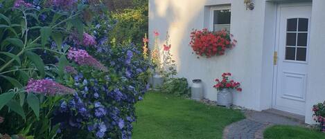 A white building with a garden, a paved pathway, and a door with a window.