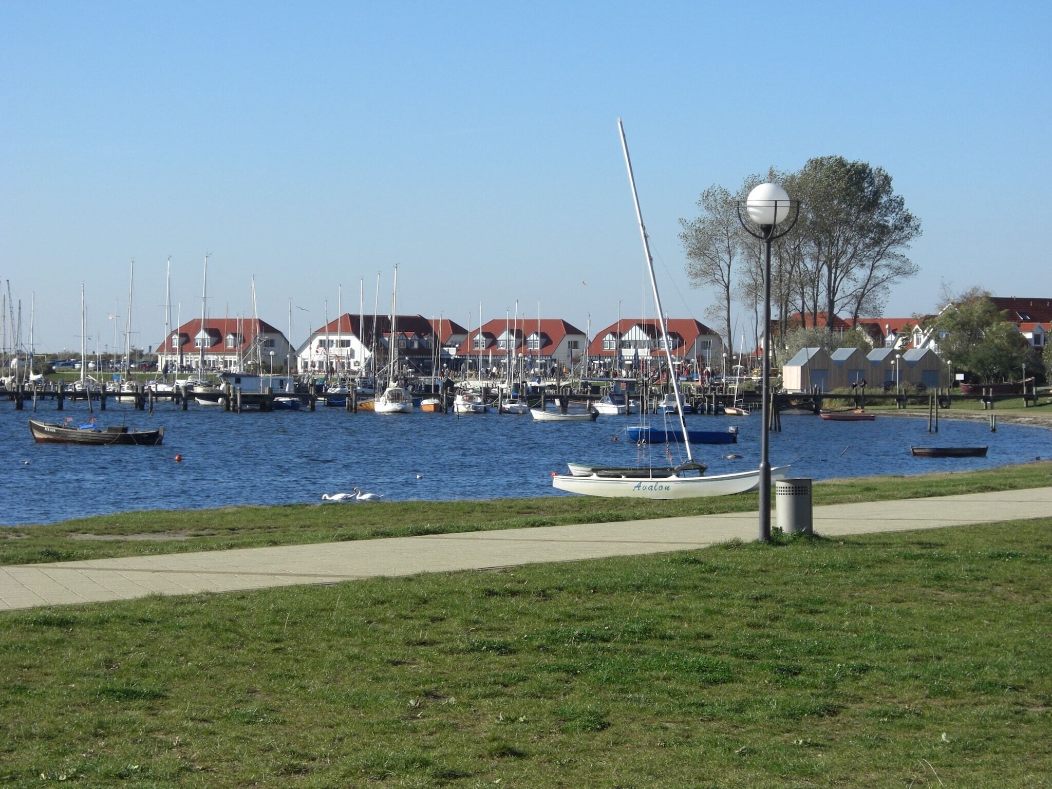 A marina with boats docked, a grassy area, and houses with red roofs in the background.