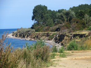 Un paisaje costero con un litoral rocoso, abundante vegetación y un cielo azul despejado.