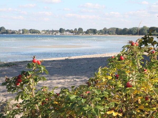 Una playa con vista a un lago y edificios a lo lejos.