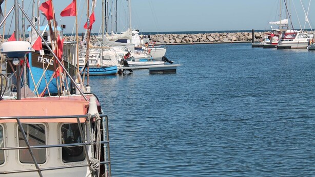 Un puerto deportivo con varias embarcaciones amarradas, y un rompeolas rocoso al fondo.
