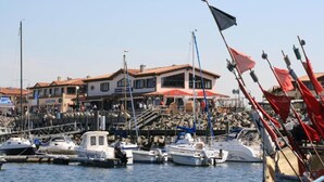 A marina with multiple boats docked, a building with a red roof, and flags in the foreground. - Ferienwohnung in Pepelow nahe der Ostsee (Pepelow)