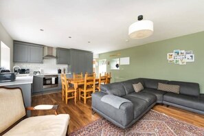 Smart TV, fireplace, DVD player, books