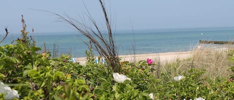 Playa en los alrededores