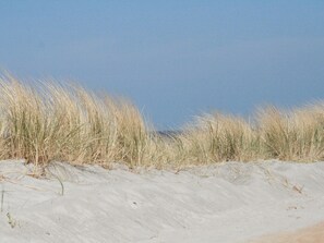 Nær stranden