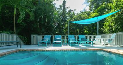 Villa de Paz, STJ 4 BR/2.5B, 2-8 guests Pool Private Renovated AC backup power