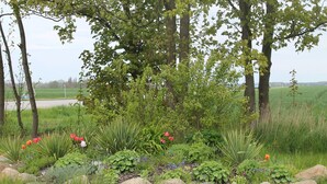 A garden with various plants and flowers, surrounded by rocks and trees. - Wohnung in Wiek nahe Strand Juliusruh (Wiek auf Rügen)