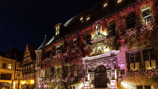A historic building with a grand entrance, ornate architecture, and a well-lit facade. - Thale Comfort with Garden (Thale)