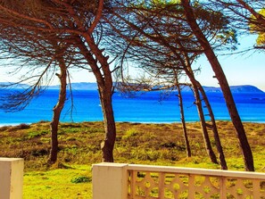 Un paysage côtier avec des arbres et une vue dégagée sur la mer.
