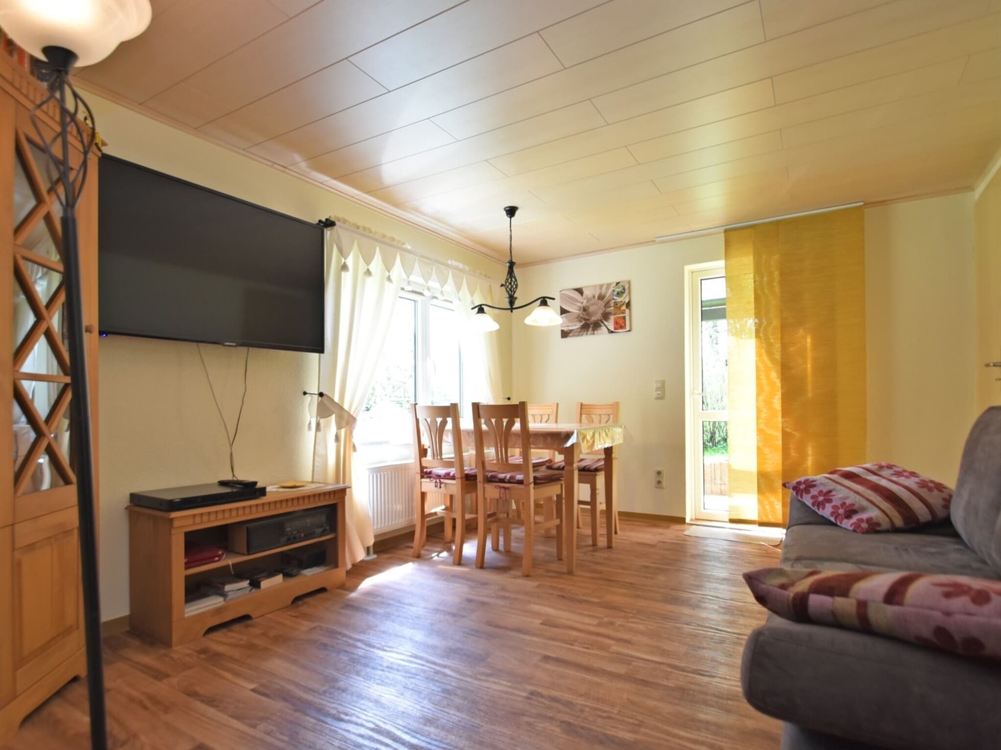 电视、DVD 播放器