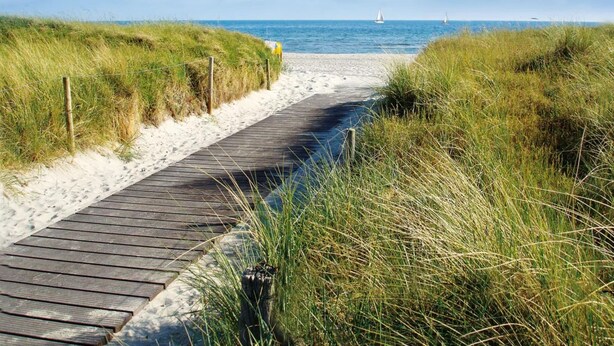 A wooden boardwalk leading to a sandy beach with grassy dunes on either side. - Guest House near Coast (Farve)