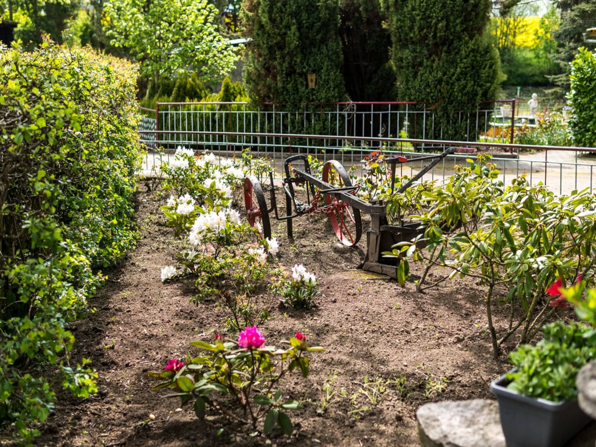 Un jardin où l’on trouve une variété de plantes et de fleurs, une clôture en métal et une brouette.