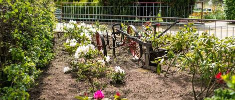 Un jardin où l’on trouve une variété de plantes et de fleurs, une clôture en métal et une brouette.